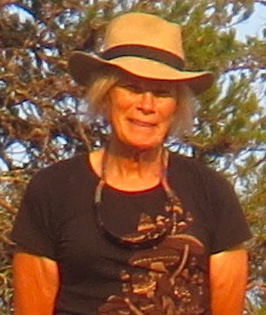 Donna Kurt