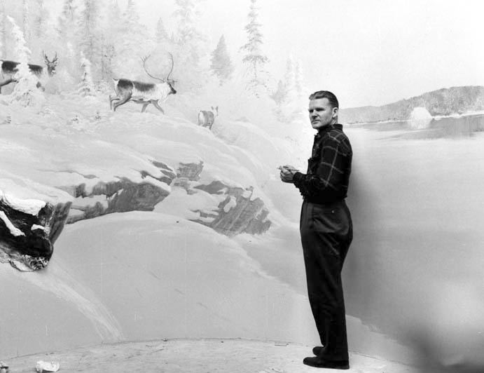 Clarence Tillenius working on Barrenground Caribou  Diorama at National Museum, Ottawa, Ontario © 1966 Clarence Tillenius, click image to return to Tillenius Dioramas