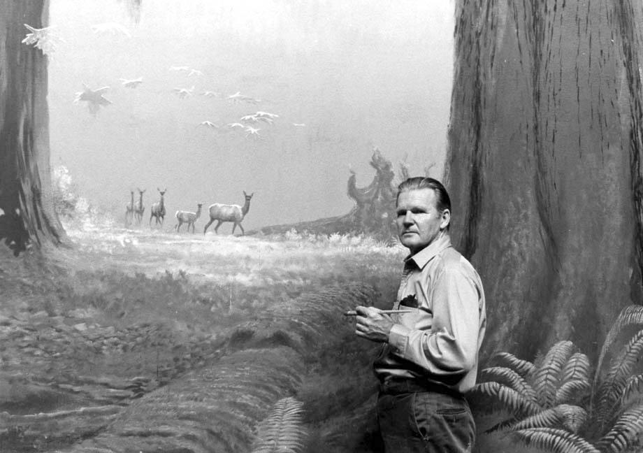 Clarence Tillenius working on Coastal Forest Diorama at Provincial Museum, Victoria, BC © 1969 Clarence Tillenius, click image to return to Tillenius Dioramas